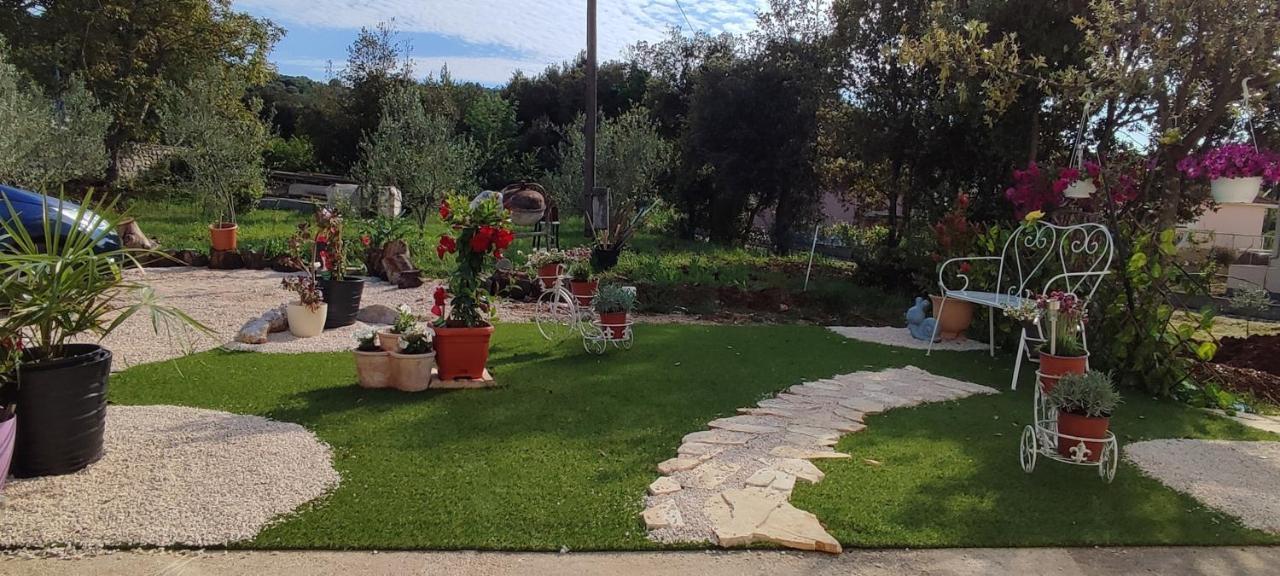 Apartament Mihaela