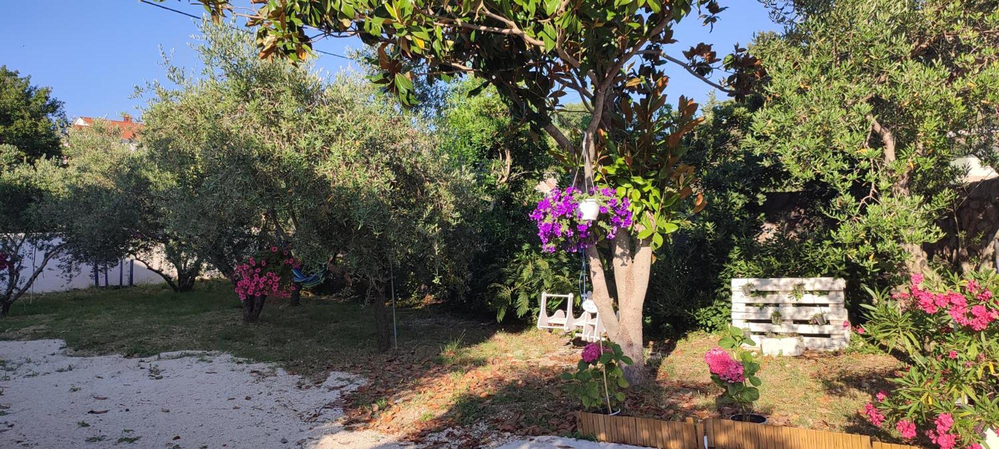 Apartament Mihaela Banj