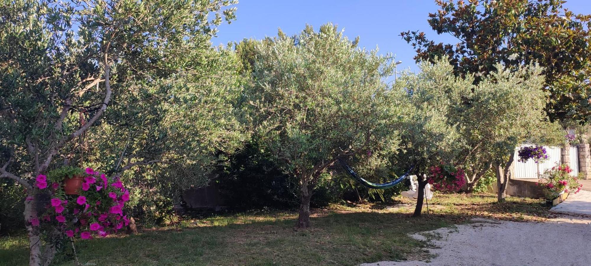 Apartament Mihaela *